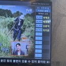 버럭이가 되