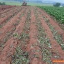 창대농장 이미지