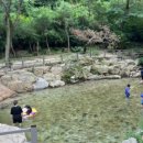 포레스트벨리캠프 이미지