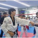 강인태권도체육관 이미지