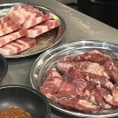 정사장네 갈매기 이미지