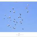 문신미술관 이미지