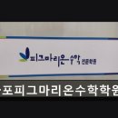 피그마리온수학