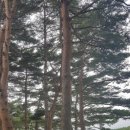 도두리공원 네이버블로그