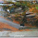 송대민박 티스토리