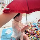 퍼니비 | 돌 아기 홈문센 미술 방문수업 퍼니써니 수업 가격, 재료비, 구성, 내돈내산 후기