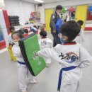 늘품태권도전문도장 이미지