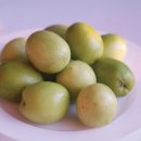 인디언 주주브indian jujube , ber〈인도어〉인도대추, 사과대추 이미지