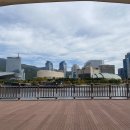 수영강변로 이미지