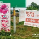 석민농장 이미지