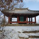 월탄1리 | 정자詩로 만난 인물-이행진(李行進)