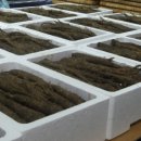 주리농장 이미지