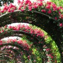 뻥튀기공원-2 이미지