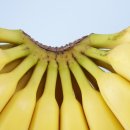 바나나모텔 이미지