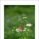 주홍 - 동구 동부로30길 25 | 주홍