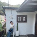 멍멍이 날다 이미지