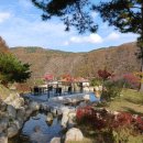 장계관광지 이미지