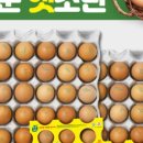 농업회사법인녹색(주)