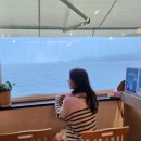 세븐일레븐 오금제일점 | 6월 부산 2박 3일 여행 일정/비용/준비물/SRT 자리 추천