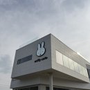 카페돈 | 거제 미피 카페 내 돈 내산 후기 🐰 거제 가볼 만한 곳 실내 데이트 코스 추천
