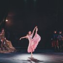 연극-동화속 이야기 이미지