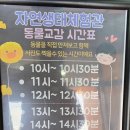 금오산로-25 | [경북 구미] 인투더 정글 금오랜드 실내 동물원 자연 생태체험관 아이와 가볼 만한 곳 방문 후기