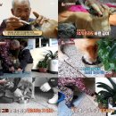 진이농장 이미지