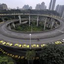 명품돼지 이미지