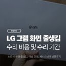 기가바이트노트북수리AS센터 | LG 그램 노트북 화면 줄생김 엘지 AS 서비스센터 패널 교체 수리 비용 기간 후기