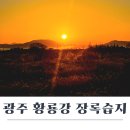 상선경로당 | 광주 일출이 멋있는 황룡강 장록습지