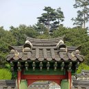 병오박해 이후 조선 후기 종교 정책 변화와 탄압 방식 분석하기