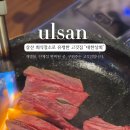대한정육상회