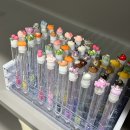 쌩얼  EYE LASH | 창원 중동 속눈썹펌 맛집 아이원래쉬 클리닉펌 솔직후기