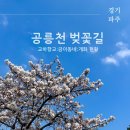 쇠재공원 | 파주 가볼 만한 곳 벚꽃 명소 공릉천&amp;교하향교 개화 현황 주차 튤립축제 정보