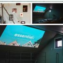 스테이레올 이미지