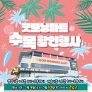 킴스마트 이미지