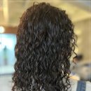 중앙 애견 미용실 이미지