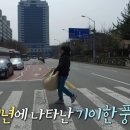 신창세탁 이미지