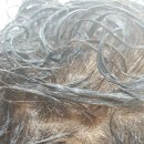 가야미용실 이미지