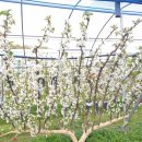 동건농장 이미지