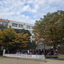 대도초등학교 이미지