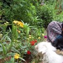 뽑기좋은날 이미지