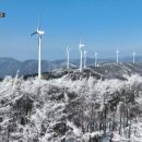 하늘아래정육점 이미지