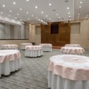 엘디스리젠트 이미지