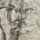 계남향약 이미지