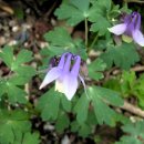 잎소아청소년과의원 이미지