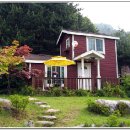 모닝펠리스 이미지