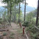 대장금마실길(3코스) 이미지