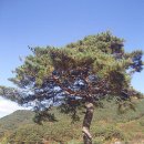 남원...사촌리 마애여래입상