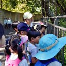 [1,2학년 숲탐험] 9/10, 9/17, 10/1, 10/15: 숲이 주는 선물 이미지